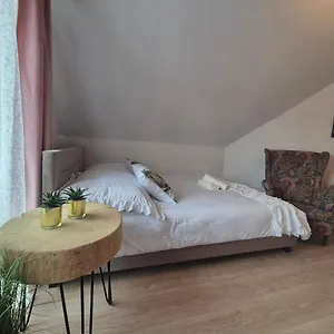 Guest house Pino House, Zakopane
